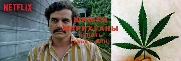прущая мука Алзамай