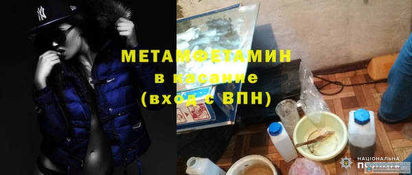шишки Абаза