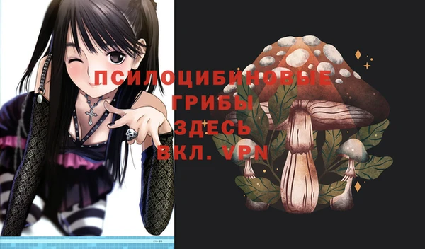 дмт Алексин
