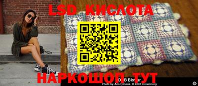 МДПВ Новодвинск