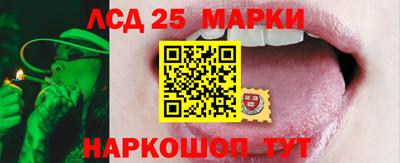 МДПВ Новодвинск