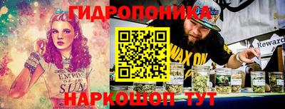 МДПВ Новодвинск
