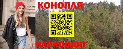 МДПВ Новодвинск