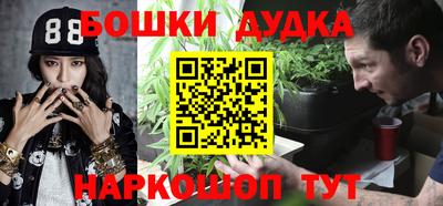 МДПВ Новодвинск
