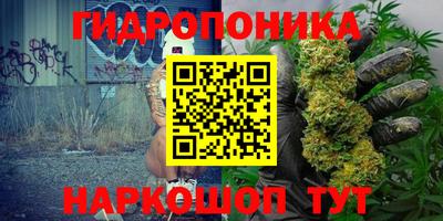 экстази Новозыбков