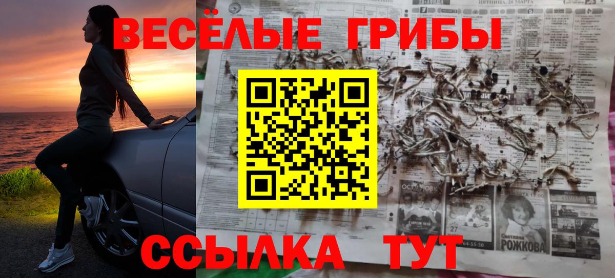 Копейск  Псилоцибиновые грибы Psilocybine cubensis  Вход с VPN 